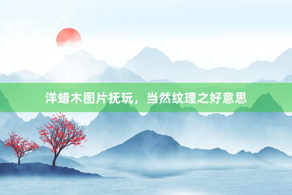 洋蜡木图片抚玩,当然纹理之好意思