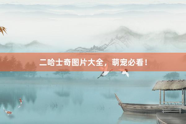 二哈士奇图片大全，萌宠必看！